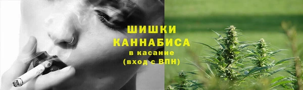 гидропоника Белокуриха