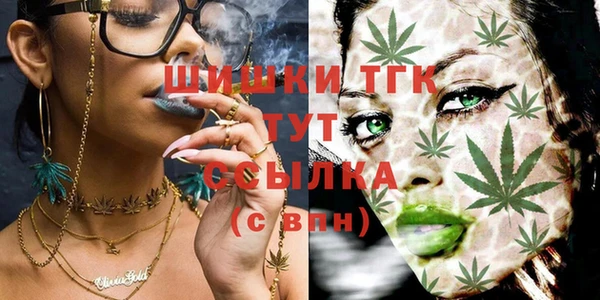 гидропоника Белокуриха