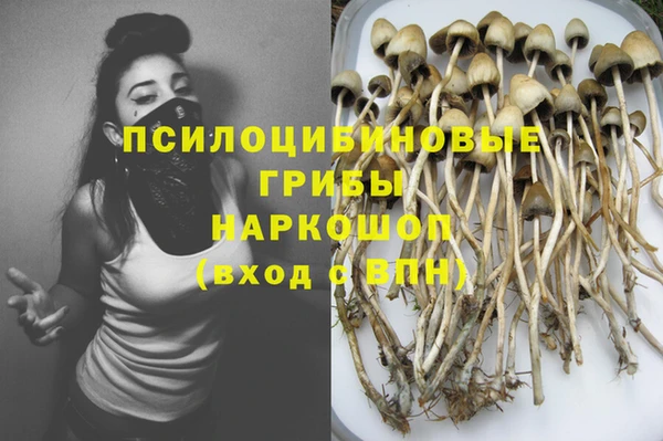 ПСИЛОЦИБИНОВЫЕ ГРИБЫ Белоозёрский