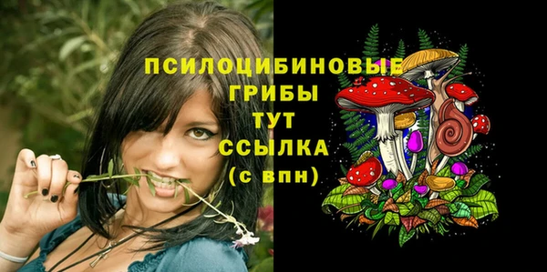 спайс Беломорск