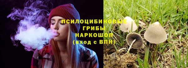 спайс Беломорск