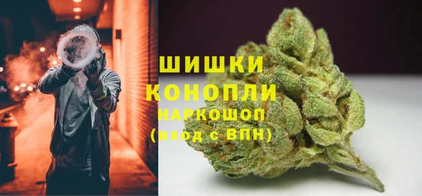 гидропоника Белокуриха